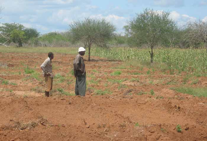 Agrar in Afrika