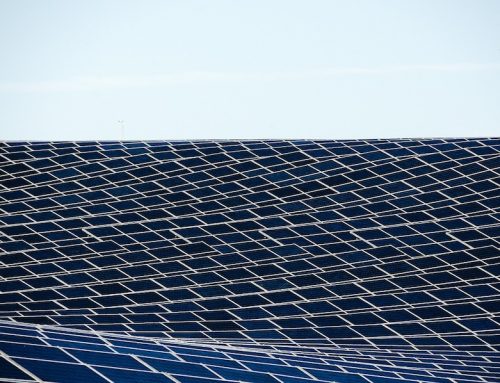 Sonnige Zeiten für Solarkraftwerke: Renewable Energy Investment Report zeigt globale Trends