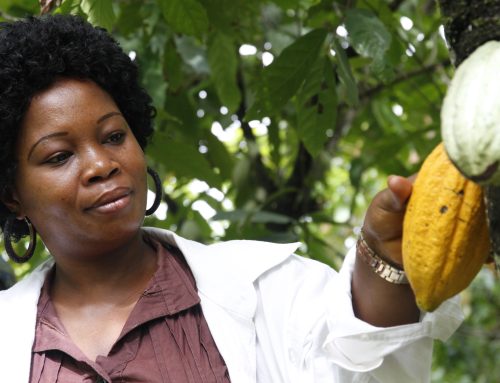 Forum nachhaltiger Kakao feiert zehnjähriges Bestehen