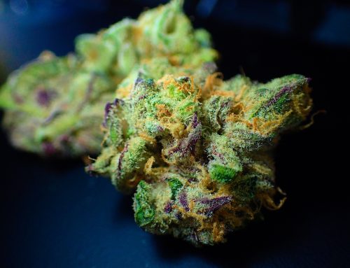 Cannabis-Branche sieht Legalisierung optimistisch entgegen