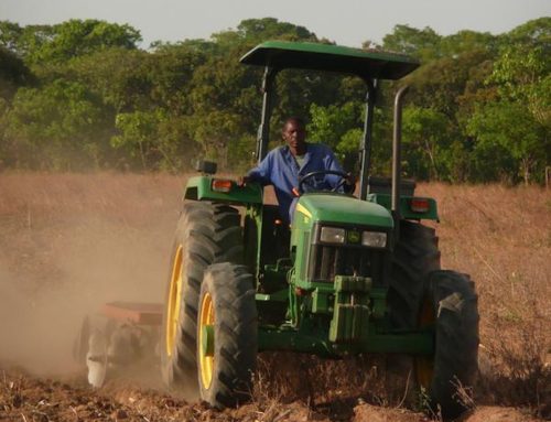 FAO-Bericht zur landwirtschaftlichen Mechanisierung: Warum ein Experte Chancen für nachhaltige Transformation in Afrika sieht