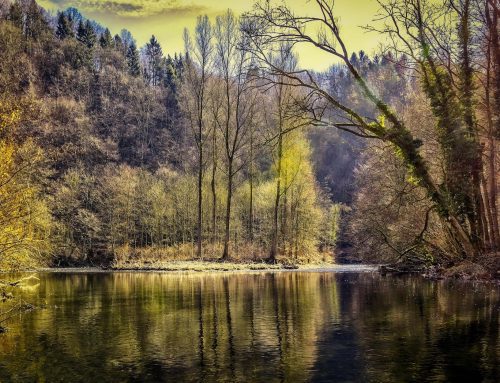 Klimawandel: Flüsse und Seen brauchen besseren Schutz