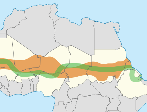 Great Green Wall Initiative in der Sahelzone – gemischtes Zwischenergebnis der UN