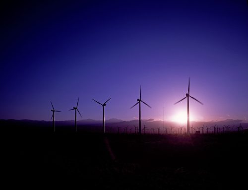 Medienberichte über Windkraft und Naturschutz hemmen Energiewandel