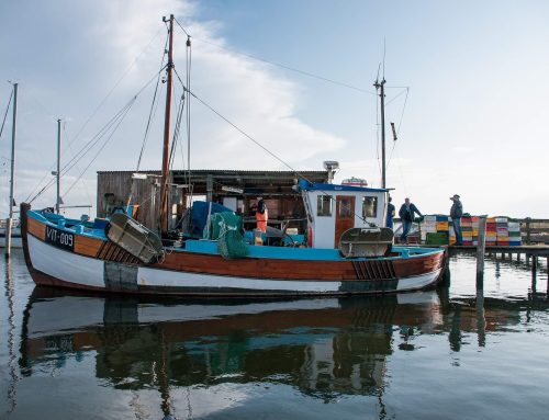 Ostsee – weniger Fische, Klimawandel und Kriegsmunition