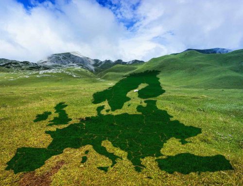 Wie die EU bis 2050 klimaneutral werden kann