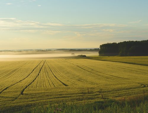 Wie steht es um die Fragilität der Landwirtschaft?