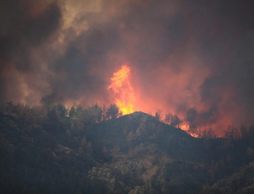 Waldbrandgefahr in Südeuropa verzehnfacht sich bis 2100
