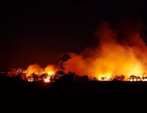Warum der Klimawandel das Risiko gleichzeitiger Waldbrände erhöht