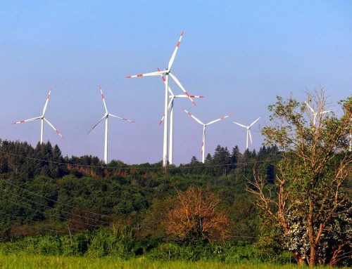 IEA-Bericht 2025: Deutschlands Energiewende zwischen Realität und Ambitionen– wo der Fortschritt stockt