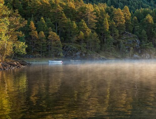 Wasserressourcen im Klimawandel – Ein digitaler Blick in die Zukunft
