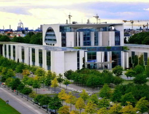 Das stille Sterben der Berliner Straßenbäume