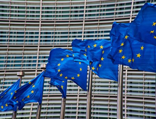 Umwelt im Auftrag der EU – Wie NGOs Teil der Klimastrategie wurden